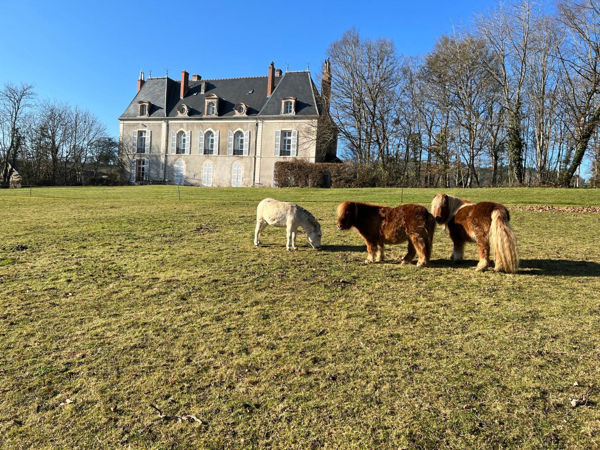 Chateau De Vaux Morvan Etang-sur-Arroux Ngoại thất bức ảnh